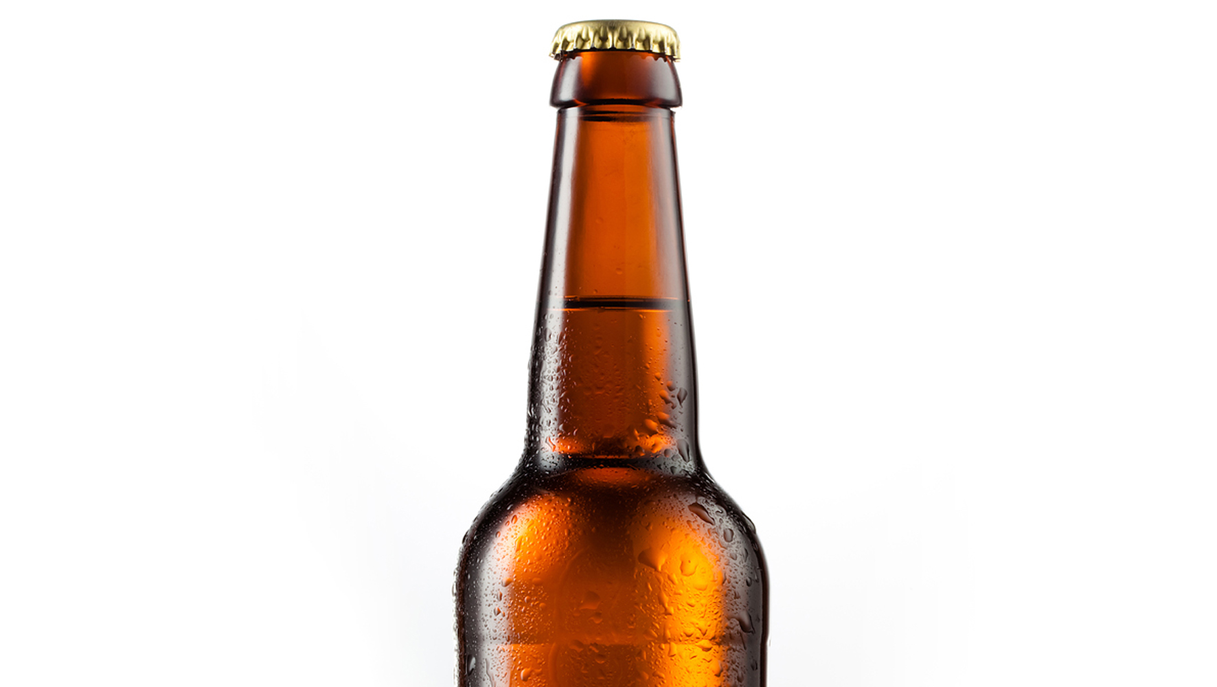 beer bottle containing beer