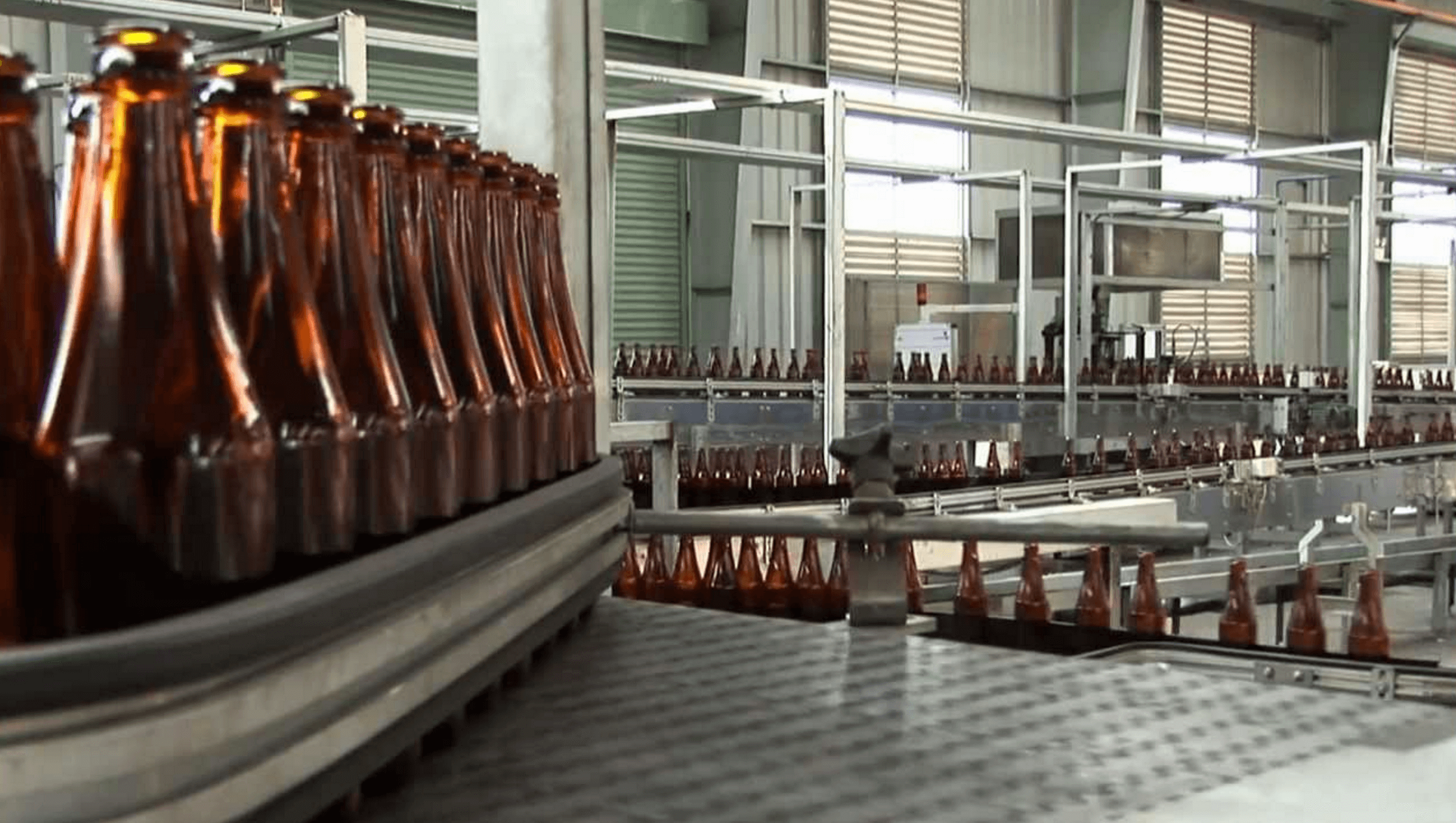 new glass bottles on a line after being manufactured